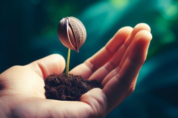 Revenue growth challenges for seed stage companies